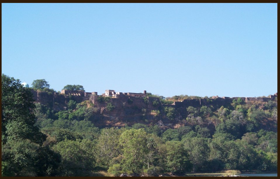 Ranthambhore Fort