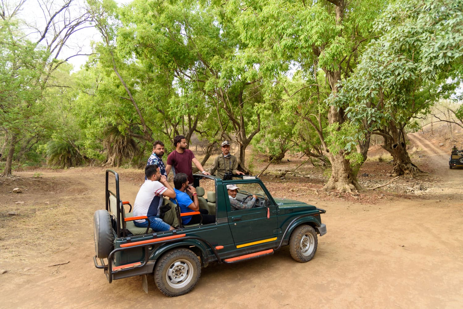 jungle safari in ranthambore