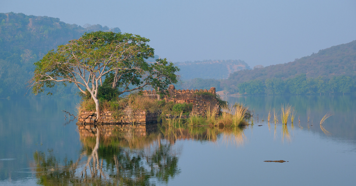 Padam Talao - Ranthambhore Kothi