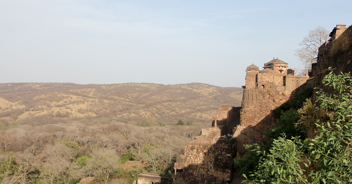 ranthambore resort sawai madhopur