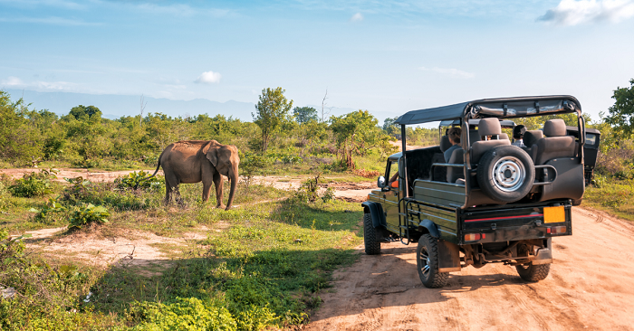 What Makes Ranthambore National Park Safari Special?