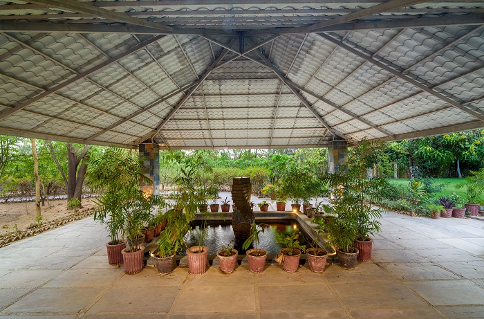 Best Hotels Near Ranthambore National Park